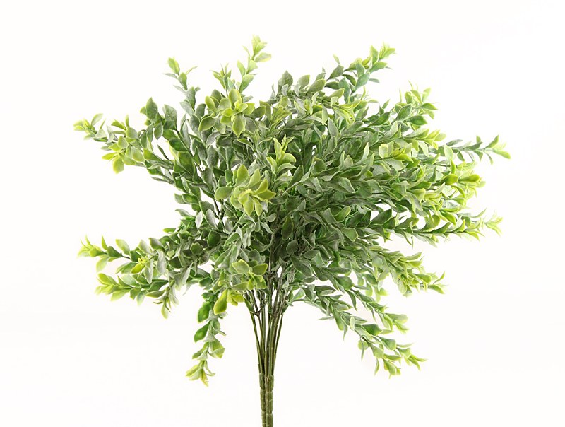 Picture of Small Leaf Frosted Greenery Bunch x 2 Bunches